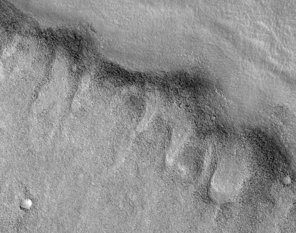 This image has an empty alt attribute; its file name is esp_059499_2270_red.browse-crop.jpg