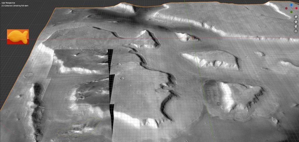 This image has an empty alt attribute; its file name is fish1.jpg