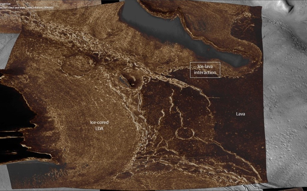 This image has an empty alt attribute; its file name is neon2.jpg