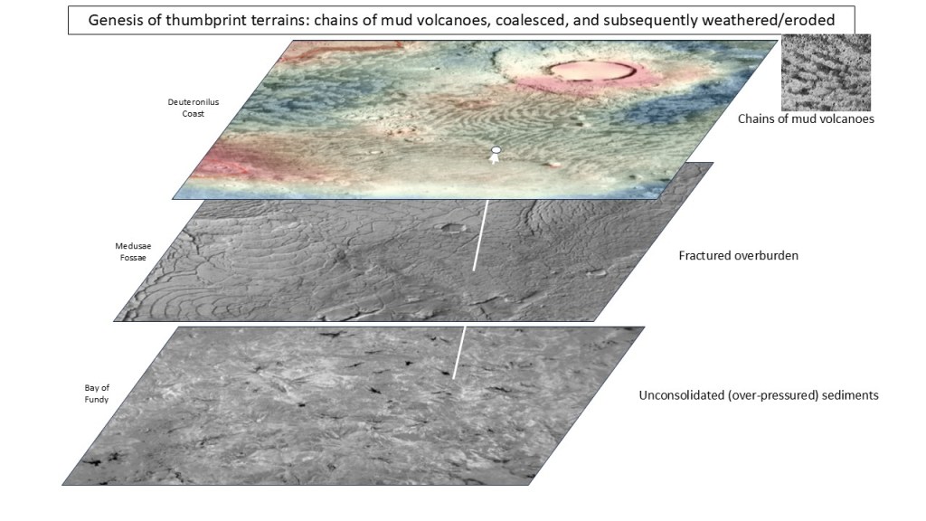 This image has an empty alt attribute; its file name is tp-genesis.jpg