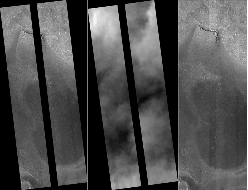 This image has an empty alt attribute; its file name is whale-hirise1.jpg