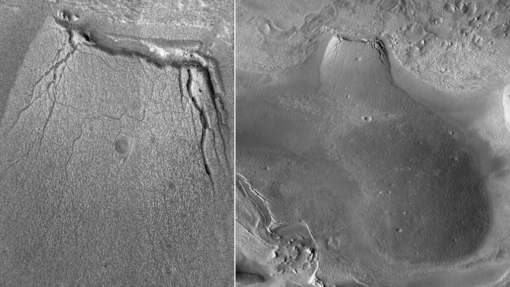 This image has an empty alt attribute; its file name is whale-hirise2.jpg
